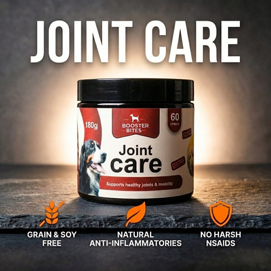 Booster Bites Joint Care