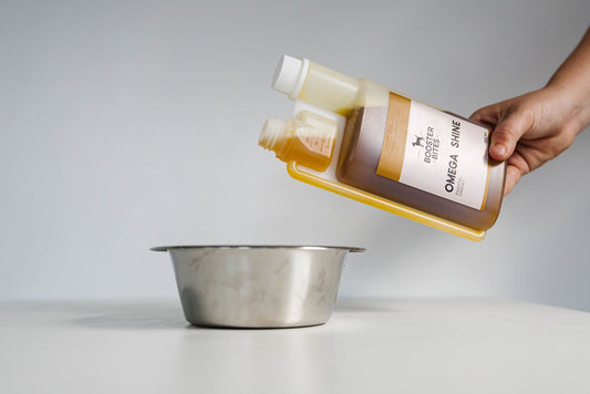 Booster Bites Omega Shine 500ml