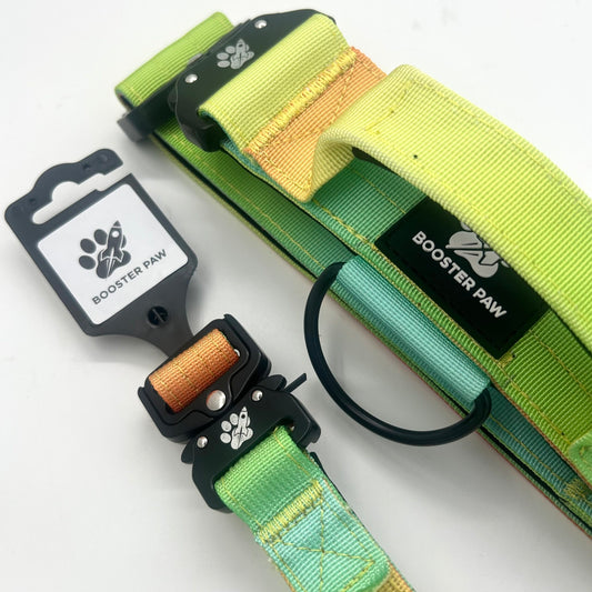 Booster Paw Rainbow Tactical Dog Collars