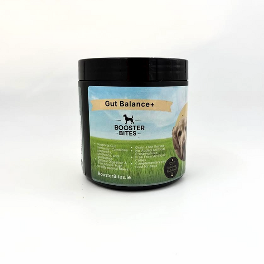 Booster Bites Gut Balance Plus probiotic dog treats for digestive health, gut balance and healthy stools