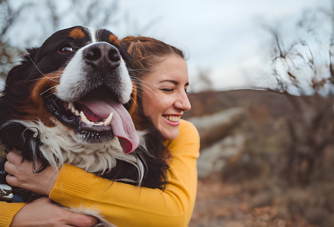 dental chews vs supplements dogs