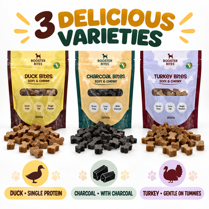 Training Treats Trio