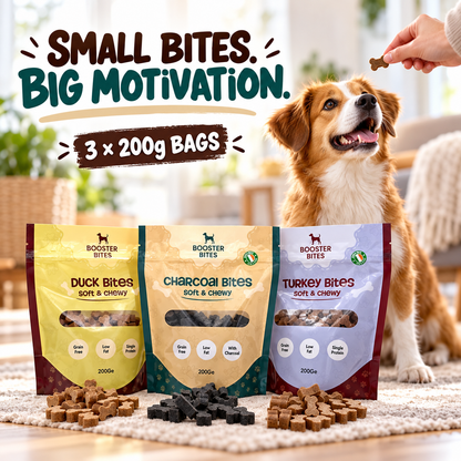 Training Treats Trio