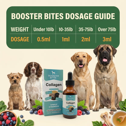 Booster Bites Collagen Supplement for Dogs 60ml