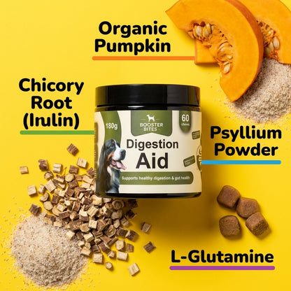Booster Bites Digestion Aid