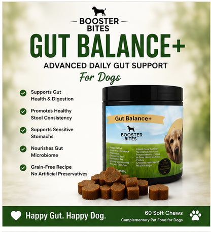Daily probiotic dog supplement to support digestion, immune system and healthy gut bacteria
