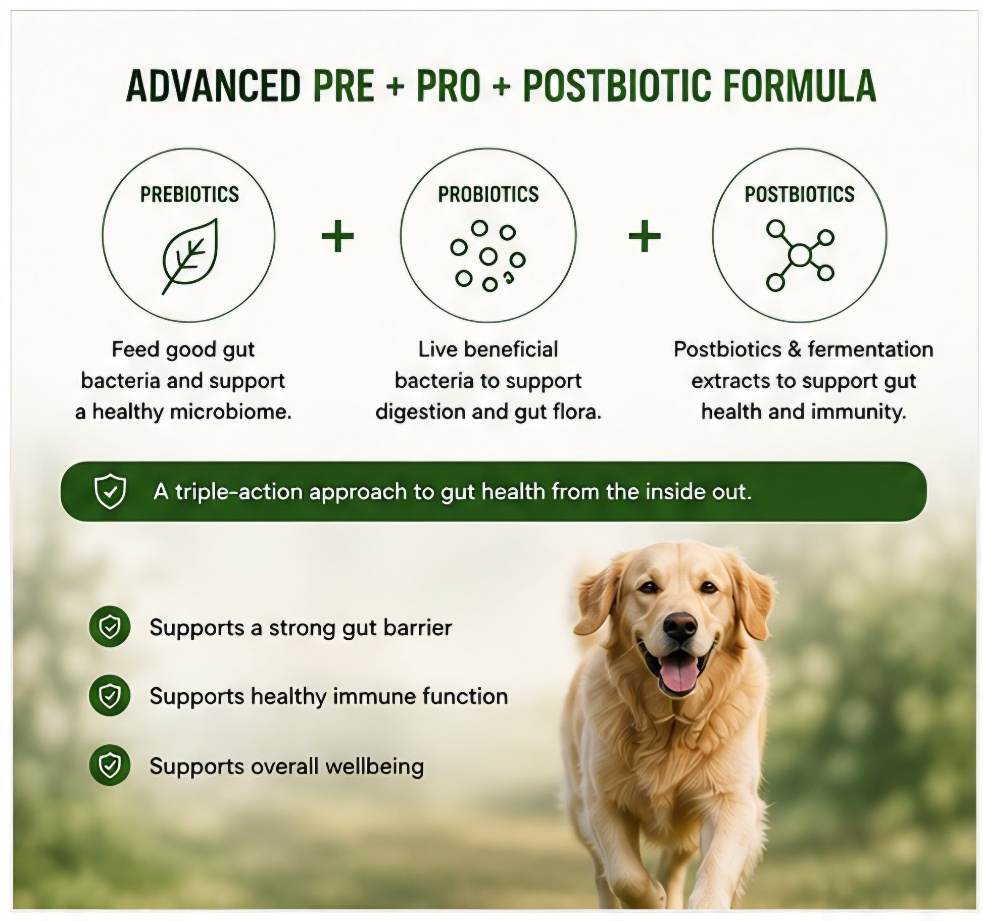 Natural probiotic and prebiotic ingredients used in Booster Bites Gut Balance Plus