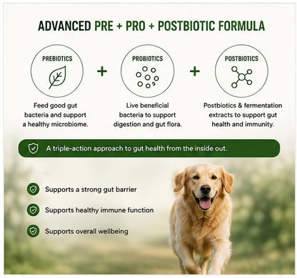 Natural probiotic and prebiotic ingredients used in Booster Bites Gut Balance Plus