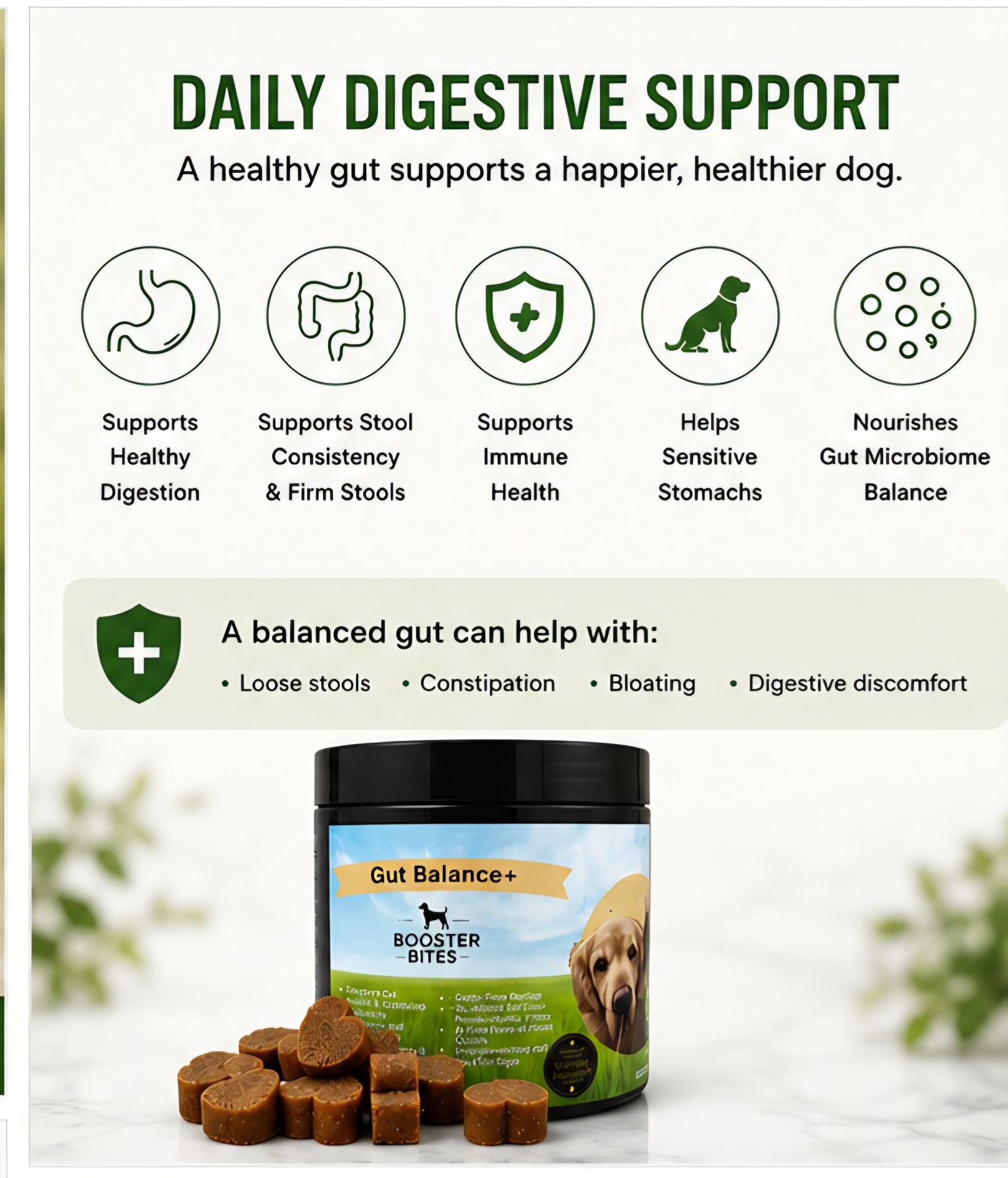 Irish-owned Booster Bites Gut Balance Plus digestive support supplement for dogs