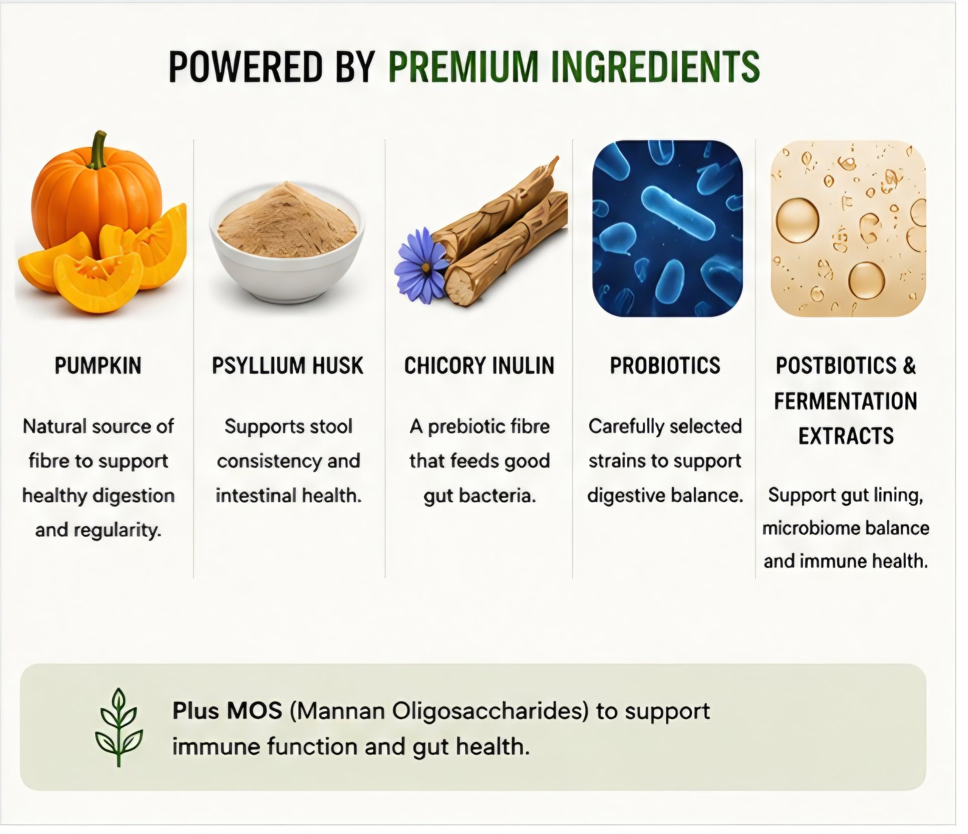 Natural probiotic and prebiotic ingredients used in Booster Bites Gut Balance Plus