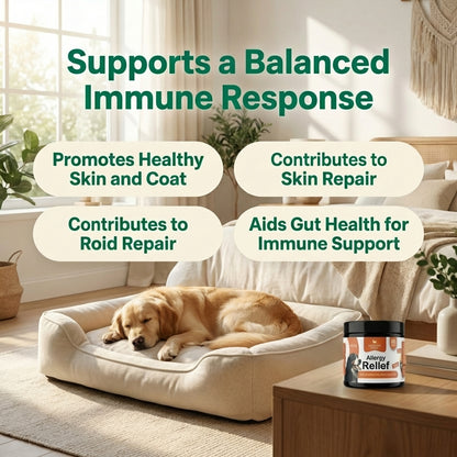 Booster Bites Allergy Relief