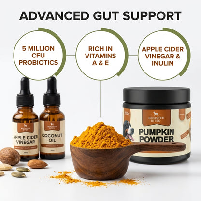 Booster Bites Pumpkin Powder