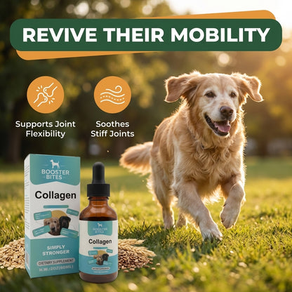 Booster Bites Collagen Supplement for Dogs 60ml