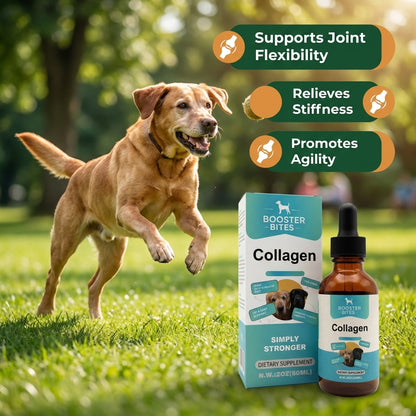 Booster Bites Collagen Supplement for Dogs 60ml