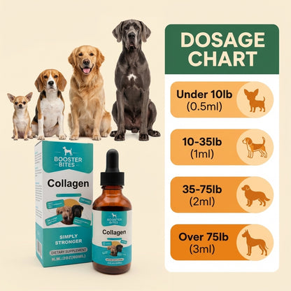 Booster Bites Collagen Supplement for Dogs 60ml
