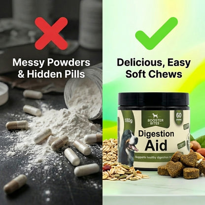 Booster Bites Digestion Aid