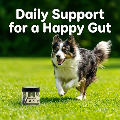 Booster Bites Digestion Aid