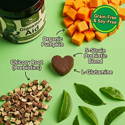 Booster Bites Digestion Aid