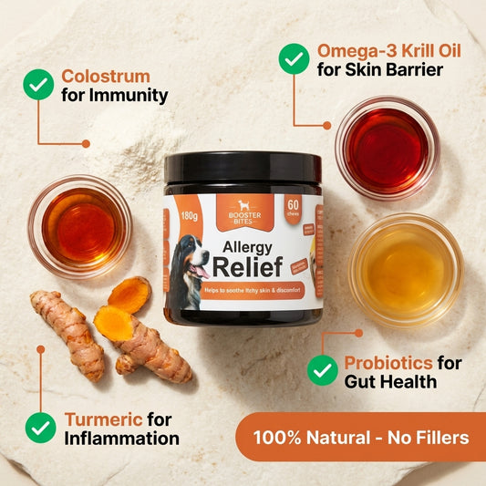 Booster Bites Allergy Relief