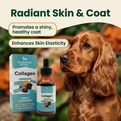 Booster Bites Collagen Supplement for Dogs 60ml
