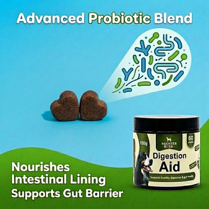 Booster Bites Digestion Aid