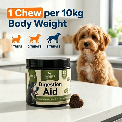 Booster Bites Digestion Aid