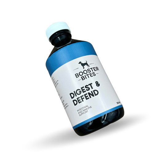 Booster Bites Digest & Defend Intestinal & Immune Support 250ml