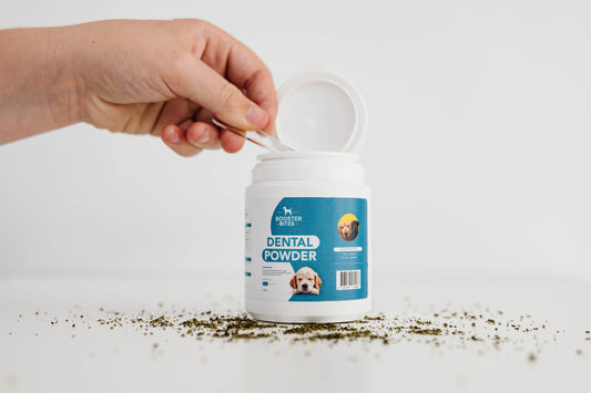 Booster Bites Dental Care Powder 150g