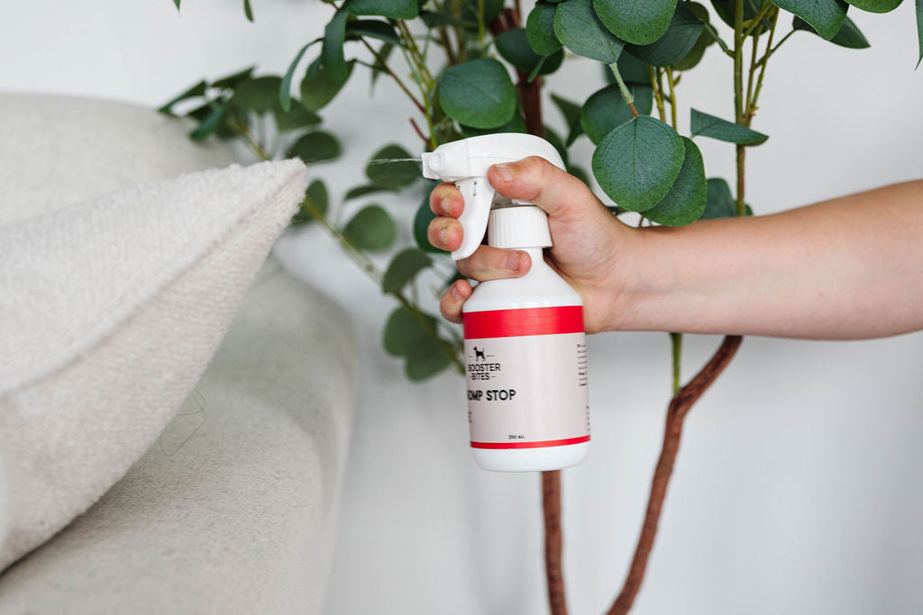 Booster Bites Chomp Stomp 250ml