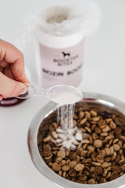 Booster Bites Biozin Boost For Coat, Skin & Nails 250g