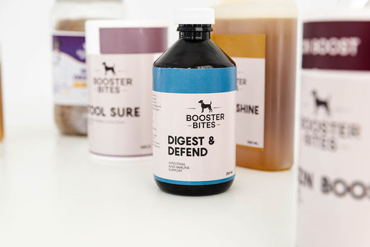 Booster Bites Digest & Defend Intestinal & Immune Support 250ml