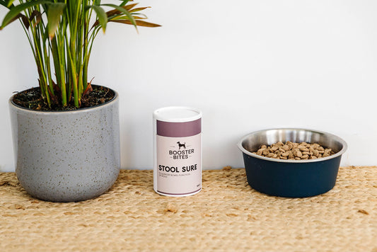 Booster Bites Stool Sure Bowel Support for Dogs 100g