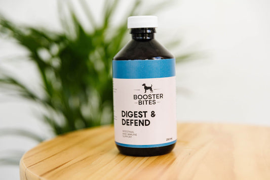 Booster Bites Digest & Defend Intestinal & Immune Support 250ml