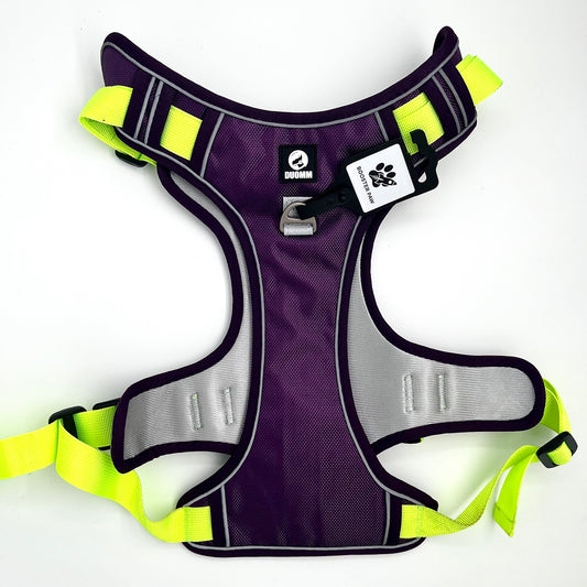 Booster Paw Two-Point Harness