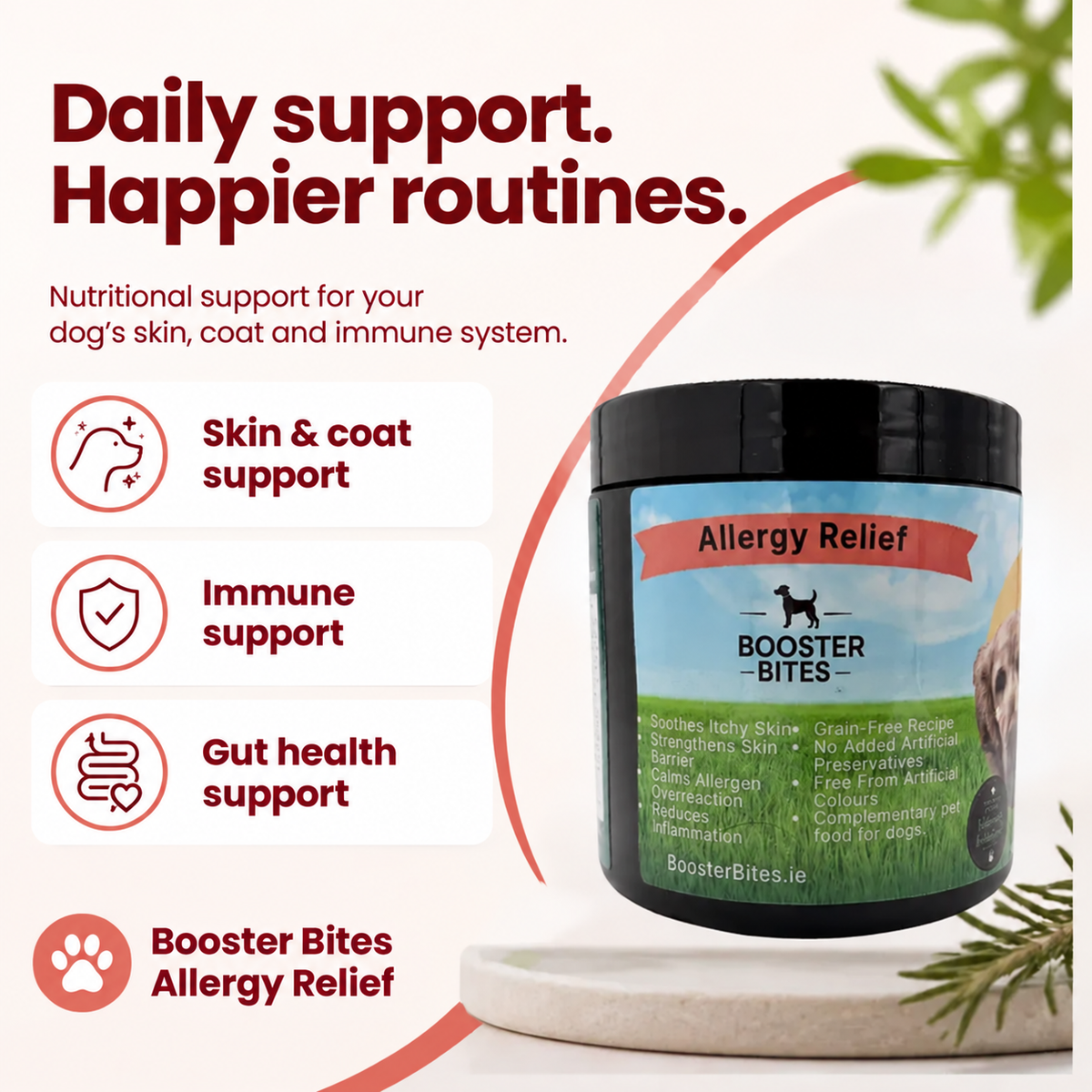 Booster Bites Allergy Relief