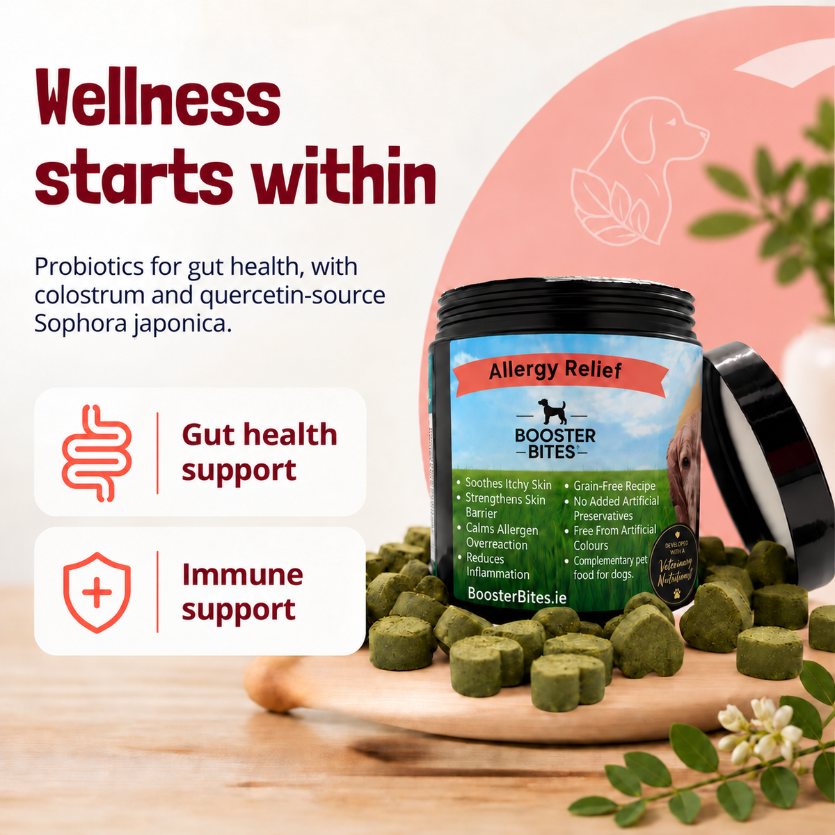 Booster Bites Allergy Relief