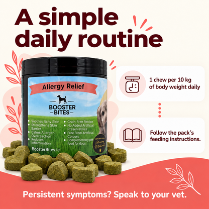 Booster Bites Allergy Relief