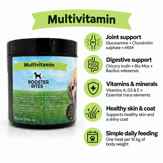 Booster Bites Daily Health Duo