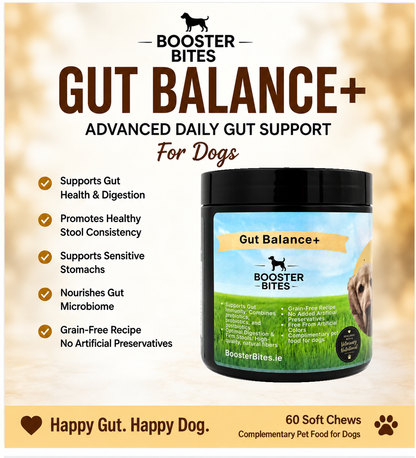 Booster Bites Gut Balance Plus Dog Treats x60