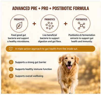 Booster Bites Gut Balance Plus Dog Treats x60