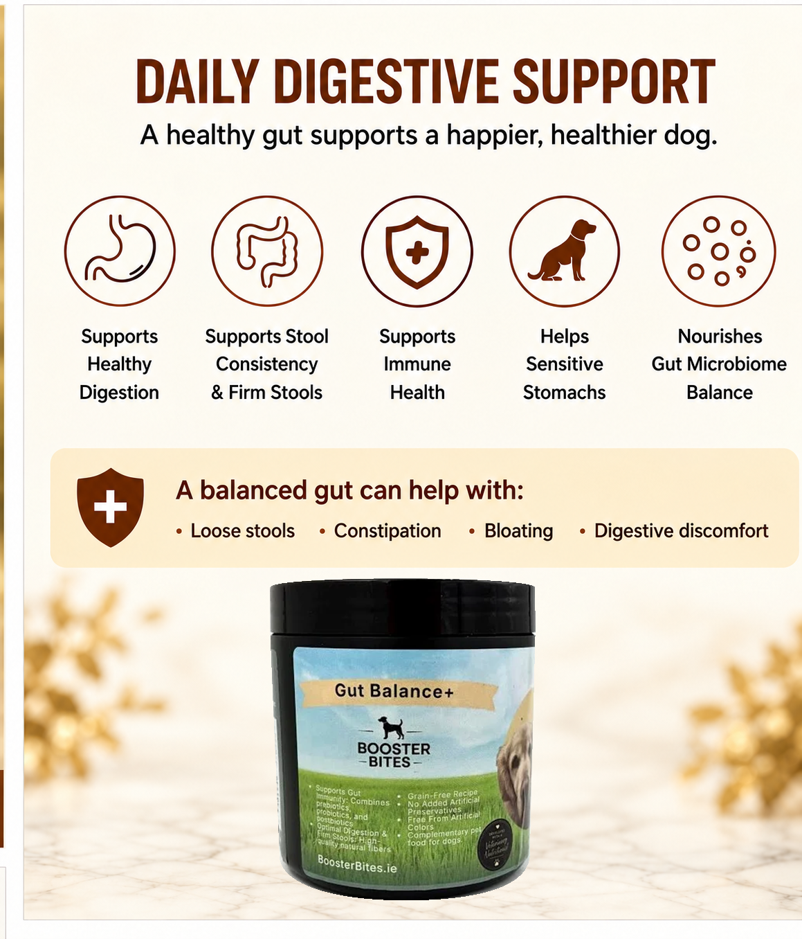 Booster Bites Gut Balance Plus Dog Treats x60