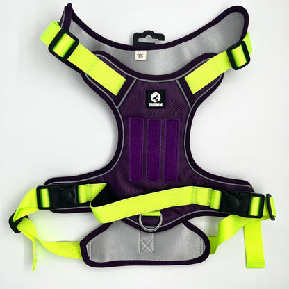 Booster Paw Two-Point Harness