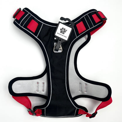 Booster Paw Two-Point Harness