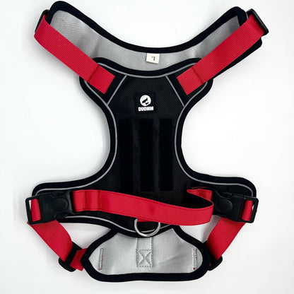 Booster Paw Two-Point Harness