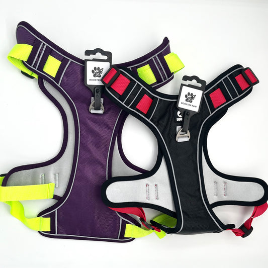 Booster Paw Two-Point Harness