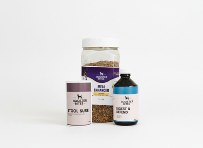 Digestive Health Bundle