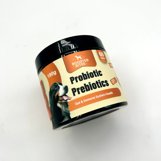 Booster Bites Probiotics Prebiotics