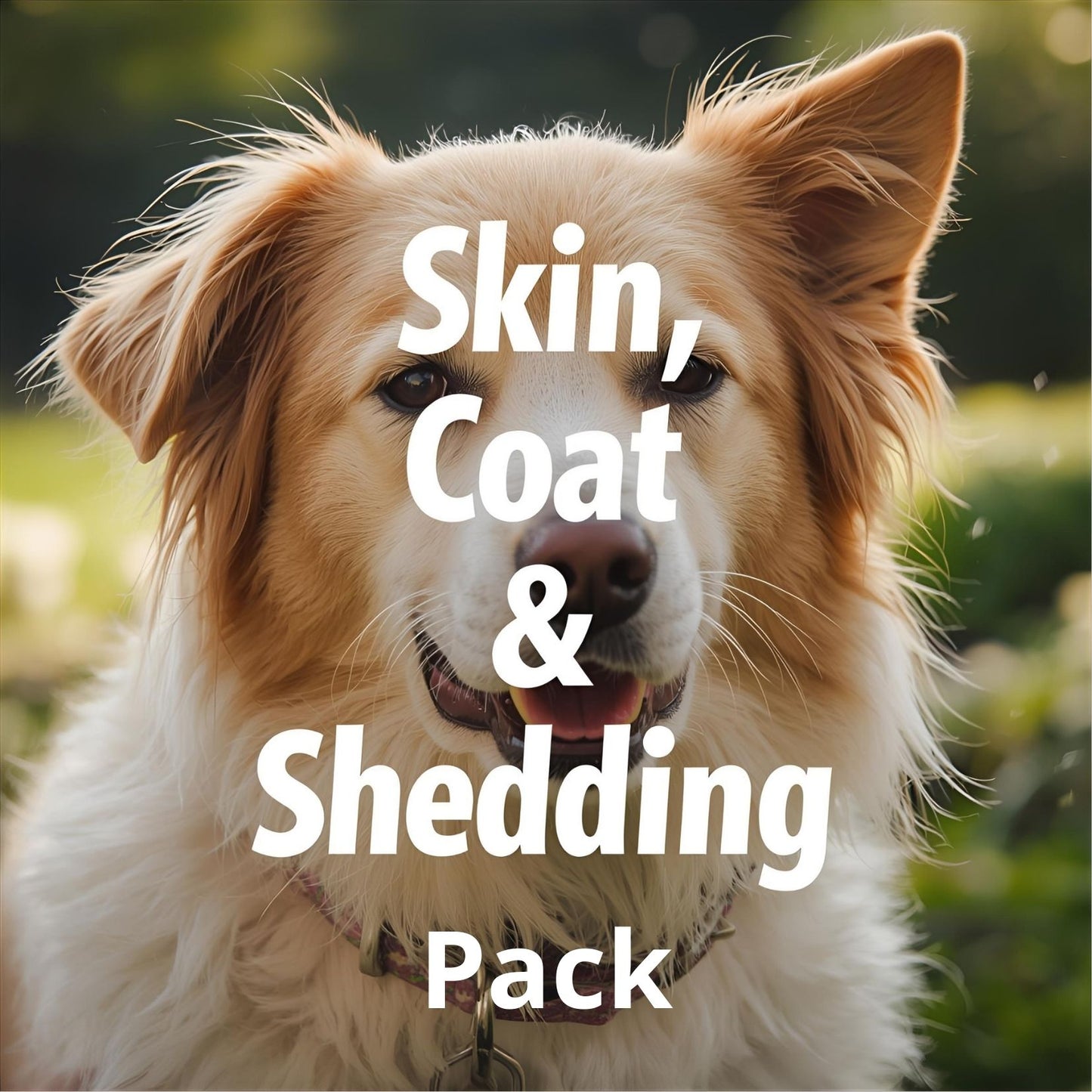 Skin, Coat & Shedding Pack