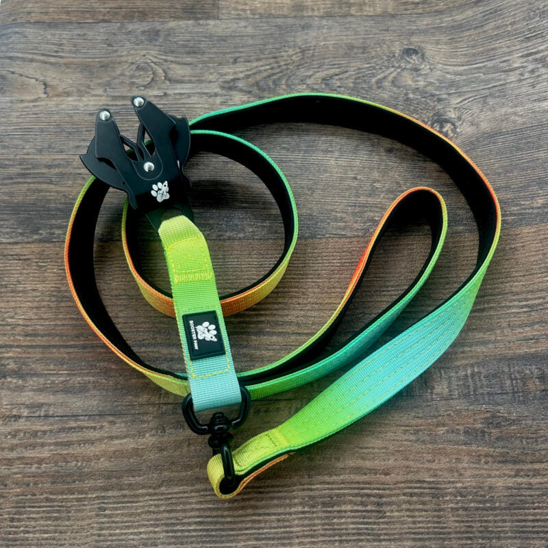 Booster Paw Rainbow Tactical Dog Lead 120cm