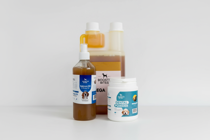 Dental Care Essentials